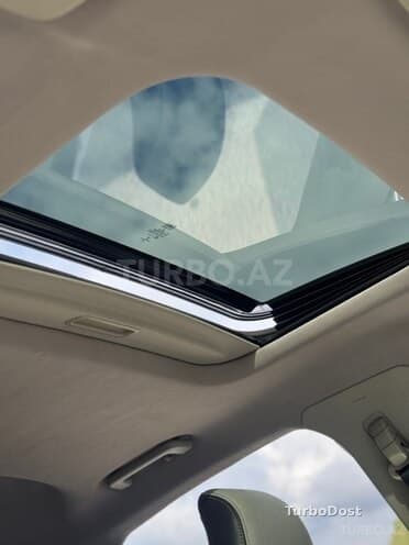 Ford Fusion (North America) 2019